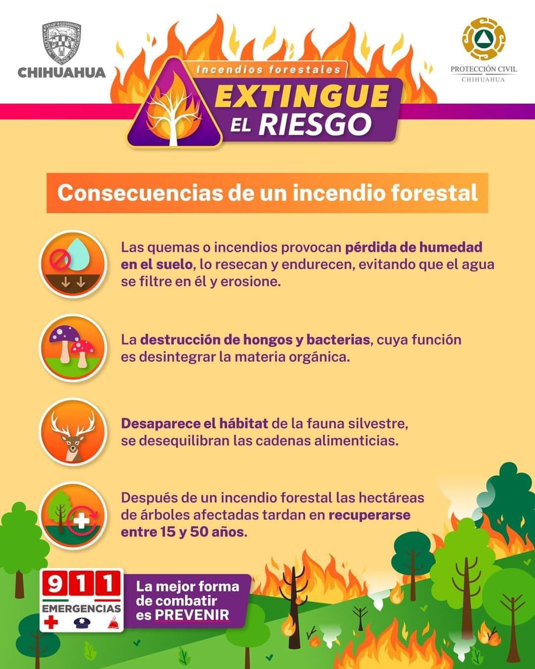 Lleva Protección Civil Estatal Apoyos A Combatientes De Incendios Forestales En La Zona Serrana 9342